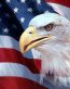Patriotic Eagle Head with USA Flag Sticker