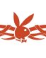 Playboy Tribal Back Auto Graphics