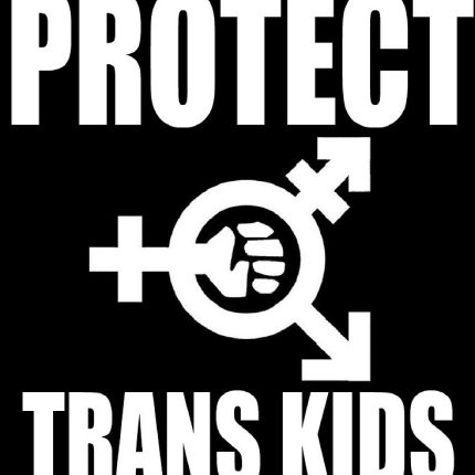 protect trans kids diecut decal