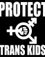 protect trans kids diecut decal