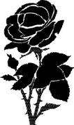 Rose Decal 8