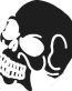 Skull Vinyl Decal Sticker 12
