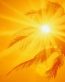 Sunrise and Sunsets Wall Graphics 004