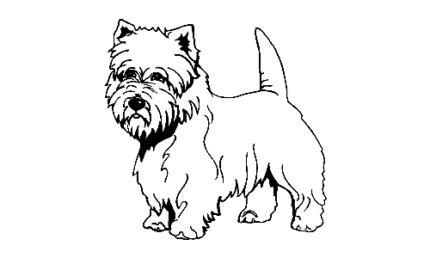 034 Cairn Terrier Decal