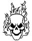 Flaming Skull 1 Vinyl Sticker
