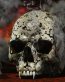 Dragons and Skull Wall Decals 08