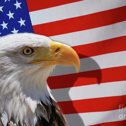 American-Flag-and-bald-eagle STICKER 6