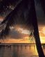 Beaches and Coastal Vinyl Wall Graphics 105