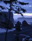 Beaches and Coastal Vinyl Wall Graphics 111