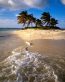Beaches and Coastal Vinyl Wall Graphics 118