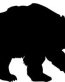 Bear Decal