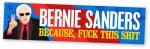 BERNIE FOR PRESIDENT BUMPER STICKER 3