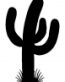 Cactus Decal2