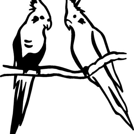 Cockatiel Bird Birds Animal Animals Vinyl Decal Sticker