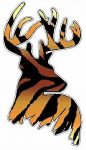 Deer Head Decal 44 - Skin Tiger