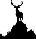 Deer Hunting Decal Sticker 24