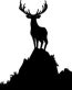 Deer Hunting Decal Sticker 24