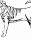 Dog Breed Decal 12a