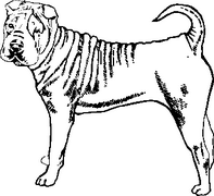 Dog Breed Decal 12a