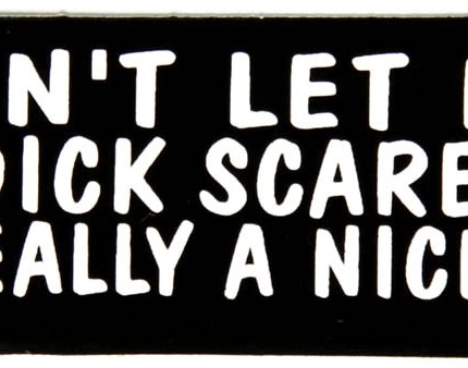 dont let my big dick scare you im really a nice guy bumper sticker
