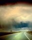 Forces of Nature Adhesive Wall Art 37