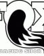Fox Shox Decal 2
