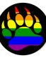 gay bear pride rainbow bear paw black sticker