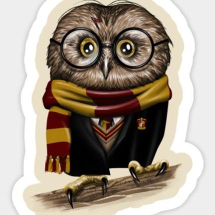 Harry Potter Owly Potter Sticker