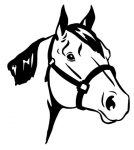 Horse Head Diecut Decal 44