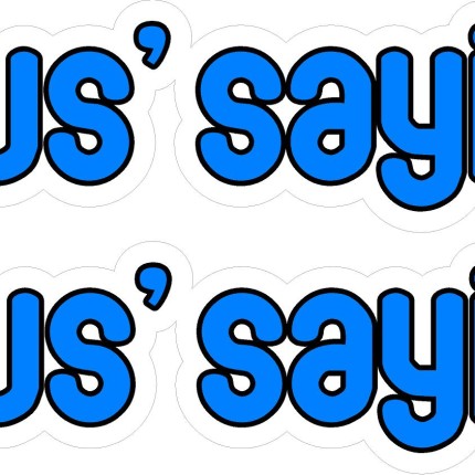 JUS SAYIN COLOR STICKERS - PAIR
