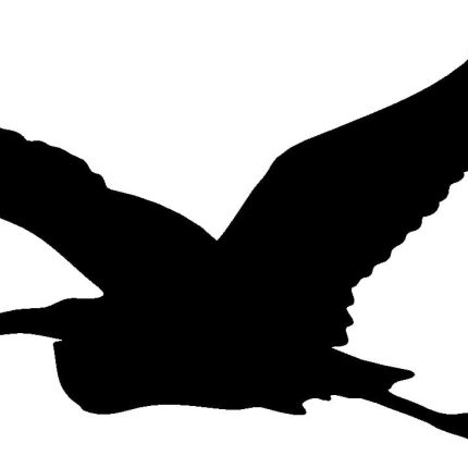 Pelican Bird Animal Animals Vinyl Decal Sticker