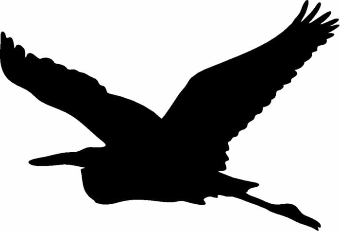 Pelican Bird Animal Animals Vinyl Decal Sticker