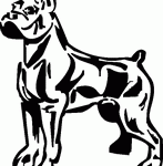 PitBull Decal 16