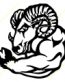 ram muscle decal 101 LEFT
