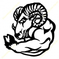 ram muscle decal 101 LEFT