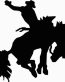 Rodeo Diecut Decal 22