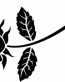 Rose Decal 3