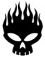 Skull Flame Offspring Evil Alien Logo