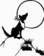 Western Decals 19