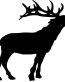 Stag Stickers - 6