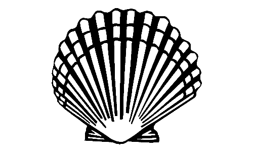 Sea Shell Decal