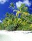 Beaches and Coastal Vinyl Wall Graphics 080