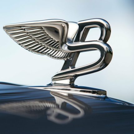 Bentley Chrome Emblem Picture Rectangle Sticker 2