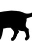 Cat Cats Animal Animals Vinyl Decal Sticker 03