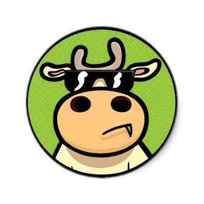 cool cow sticker