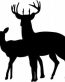 Deer Hunting Decal Sticker 4