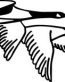Duck Decals Car Stickers 6