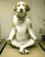 Funny Dog Yoga Sticker