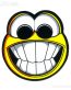 funny face smile tooth emoticon bike car decal