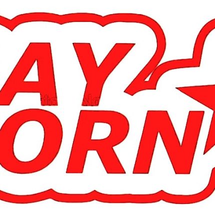 gay porn die cut funny decal